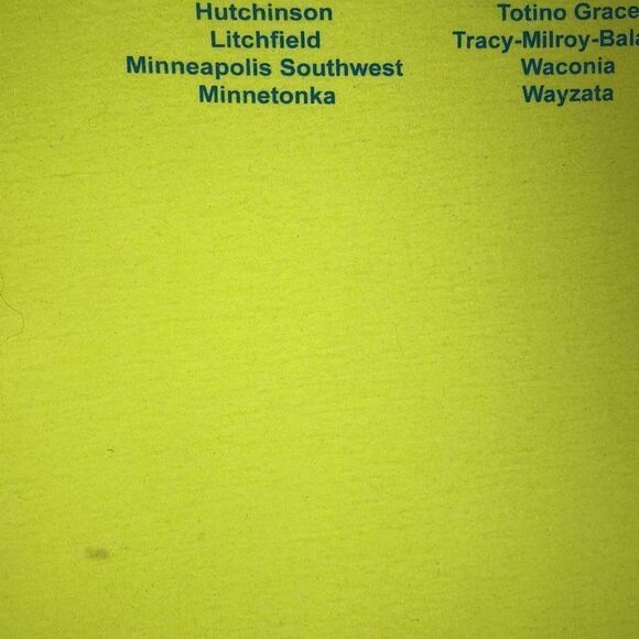 Vintage 2014 Midwest Fall Classic Volleyball Tournament T-Shirt | 2-Sided | L - Picture 7 of 8